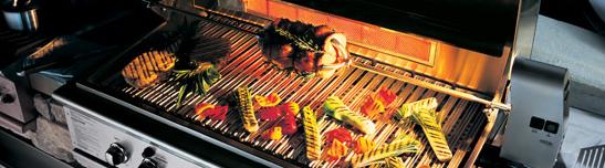 BBQ catering Aalsmeer Schiphol Rijk